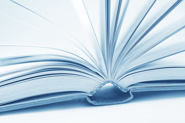 Fototapeta premium open books