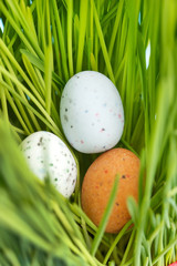Easter eggs