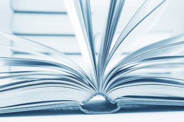 Naklejka premium open books