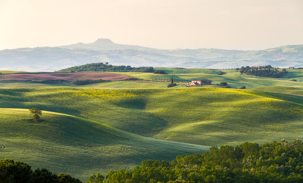 Tuscany landscape with farm, Val d'Orcia, Italy