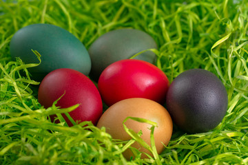 easter eggs an green grass