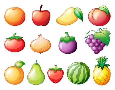 Different kinds of fruits
