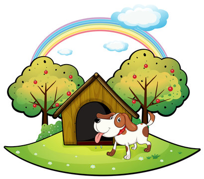 A dog with a dog house near an apple tree