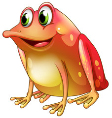 An orange frog with green eyes