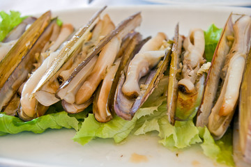 razor clams