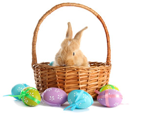 Fluffy foxy rabbit in basket with Easter eggs isolated on white