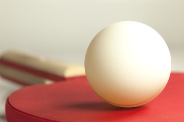 BALLE BLANCHE TENNIS DE TABLE