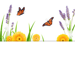 Vector Illustration of a Nature Background