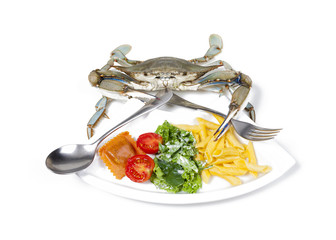 Blue crab