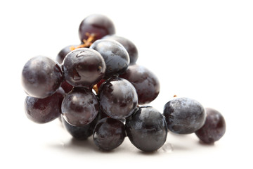 Twig of black grape on white