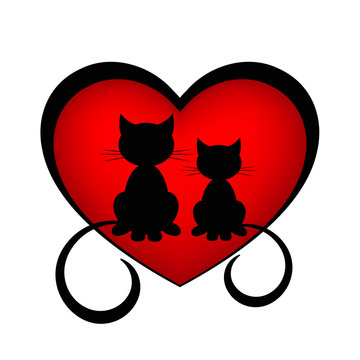 black cats in love