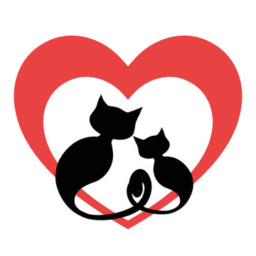 Two black cats in love