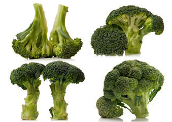 broccoli isolated over white background