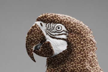 Macaw parrot with a giraffe print