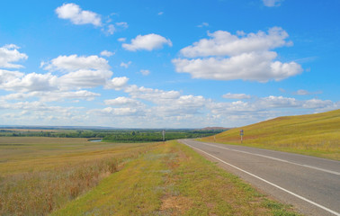 Beautiful summer landscape