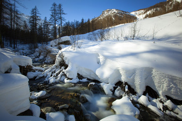 torrent alpin