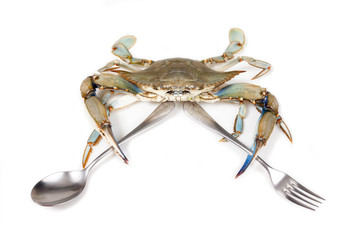 Blue crab on white background with fork and spoon