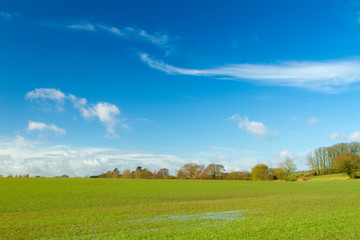 green field in english countryside