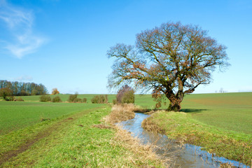 river running through english countryside