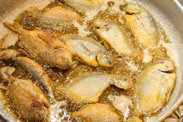 Frying fishes