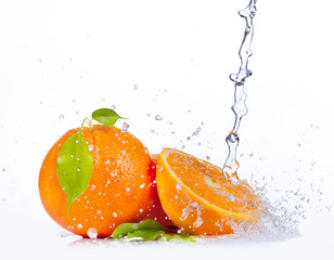 Fresh oranges with water splash, isolated on white background