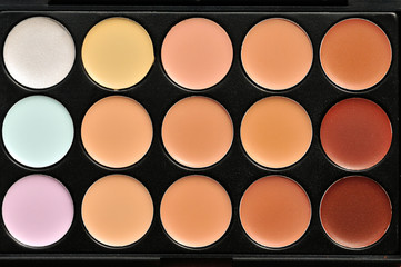 makeup palette
