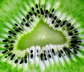 Beautiful slice of green kiwi.