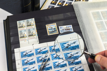 Briefmarken sammeln 04