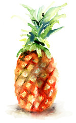Watercolor illustration of pineapple