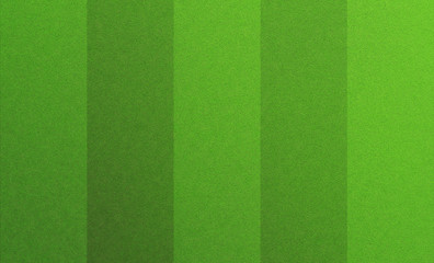Fototapeta premium lawn stripes