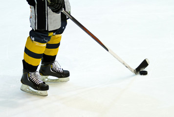 Obraz premium hockey player