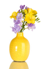 Beautiful bouquet of freesias in vase, isolated on white