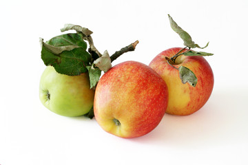 Apples with leaves isolated