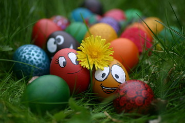 funny eggs