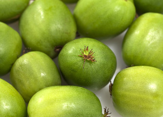 Kiwi Berry or Actinidia arguta