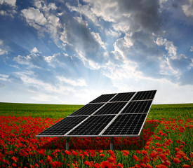 solar energy panels on the poppy field in the sunset