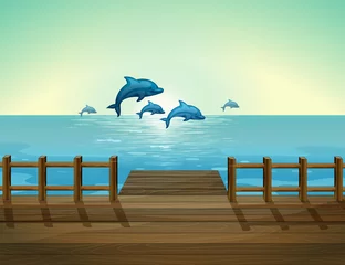Poster Im Rahmen Sechs Delfine tauchen © GraphicsRF