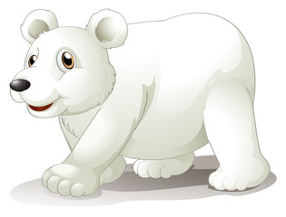 Un gros ours blanc