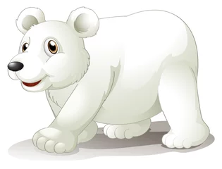 Gardinen Ein großer weißer Bär © GraphicsRF