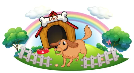 Deurstickers Een hond en een regenboog © GraphicsRF
