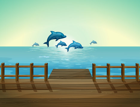 Six dolphins diving