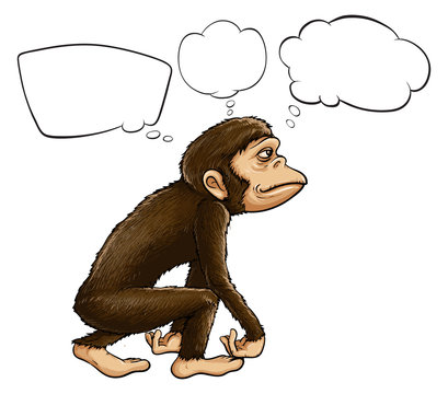 An ape thinking