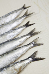 Tails of Sardines