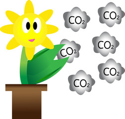 Flowers and carbon dioxide..Concepts to reduce global warming.