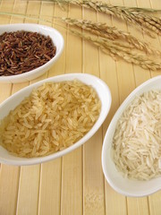 Reissorten und Reisrispen