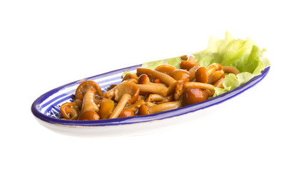 agaric honey at plate