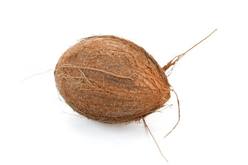Coconut on a white background