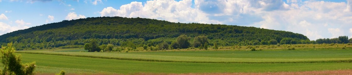 Fototapeta na wymiar panorama z zielonych pól i piękne błękitne niebo