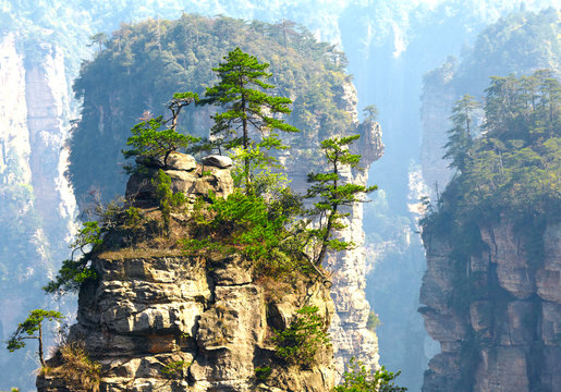 Fototapeta Zhangjiajie National Park, China. Avatar mountains
