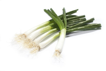 Fresh green spring onion isolated on white background